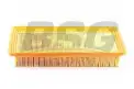 BSG 40135010 Hava Filtresi