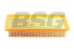 BSG 40135010 Hava Filtresi