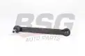BSG 25310050 Viraj Askı Rotu Ön
