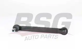 BSG 25310050 Viraj Askı Rotu Ön