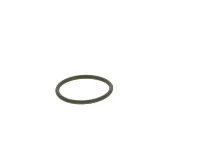 BOSCH 2440210039 Lastik - 22. Görsel