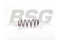 BSG 70305003 Helezon Yayı Arka