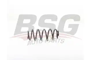 BSG 70305003 Helezon Yayı Arka