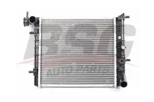 BSG 40520008 Su Radyatörü