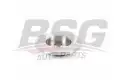 BSG 75210008 Fren Diski Ön