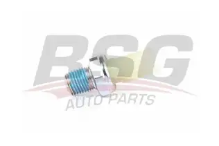 BSG 30840001 Yağ Basınç Müşürü