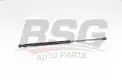 BSG 70980039 Bagaj Amortisörü