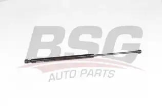 BSG 70980039 Bagaj Amortisörü