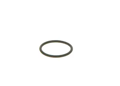 BOSCH 2440210039 Lastik - 9. Görsel