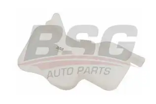 BSG 65550010 Radyatör Yedek Su Deposu