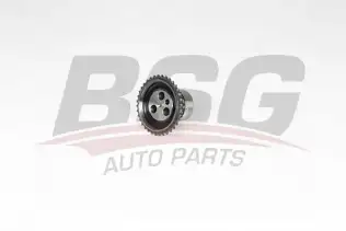 BSG 30103001 Krank Dişlisi