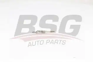 BSG 85870002 Isıtma Bujisi