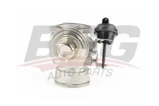 BSG 90836005 Egr Valfi