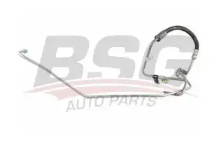 BSG 30725034 Direksiyon Hortumu