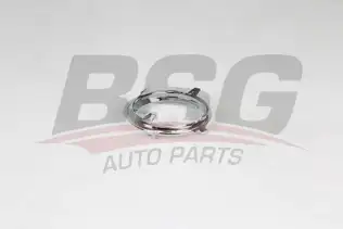 BSG 75921007 Sis Far Çerçevesi Nıkelaj