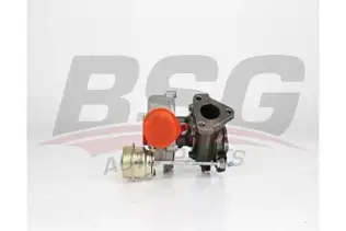 BSG 30100001 Turbo Sarj
