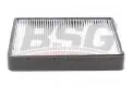 BSG 40145007 Polen Filtresi