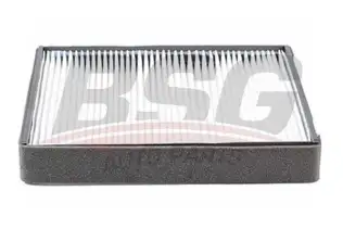 BSG 40145007 Polen Filtresi