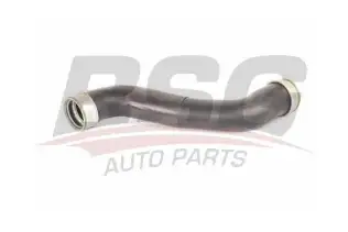 BSG 60720231 Turbo Hortumu