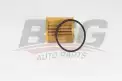 BSG 30140012 Yağ Filtresi