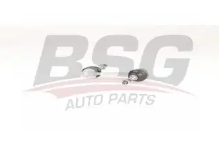 BSG 25310054 Viraj Askı Rotu Arka