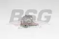 BSG 60101001 Yağ Pompası