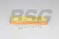 BSG 75135018 Hava Filtresi