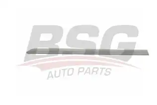 BSG 90924027 Kapı Bandı Arka Sol