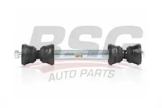 BSG 60310194 Viraj Askı Rotu Arka