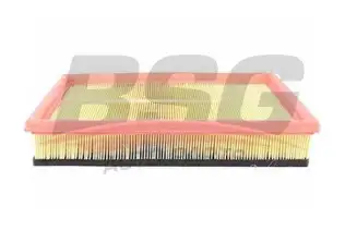 BSG 65135016 Hava Filtresi