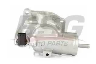 BSG 60125006 Termostat