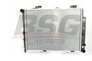 BSG 60520040 Su Radyatörü