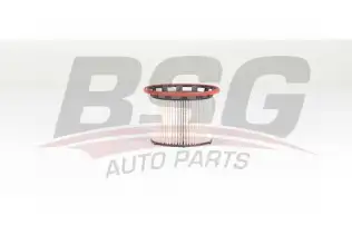 BSG 90130036 Yakıt Filtresi