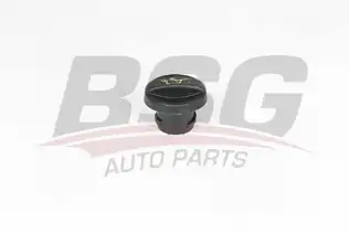 BSG 30700503 Motor Yağ Kapağı