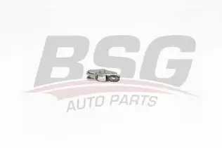BSG 40122029 Pıyano Tusu
