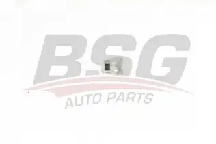 BSG 75975006 Kapı Kilit Karşılığı