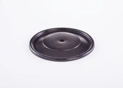 BOSCH 2420503002 Diyafram - 5. Görsel