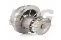 BSG 16500003 Devirdaim