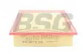 BSG 60135012 Hava Filtresi