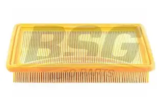 BSG 40135007 Hava Filtresi