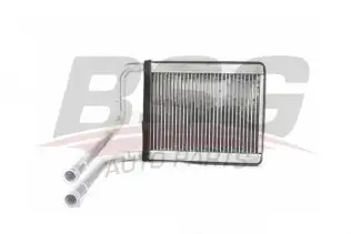 BSG 40530002 Kalorifer Radyatörü