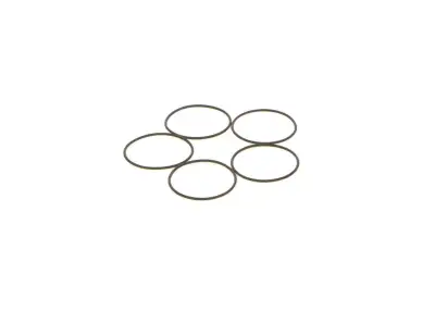 BOSCH 1410210053 O-Ring - 8. Görsel