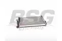 BSG 25520011 Su Radyatörü