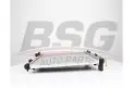 BSG 40520043 Su Radyatörü