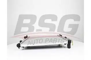 BSG 40520043 Su Radyatörü