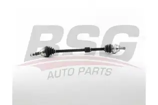 BSG 65350059 Aks Komple Ön Sağ