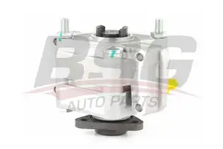 BSG 15355013 Direksiyon Pompası