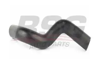 BSG 30725075 Direksiyon Hortumu