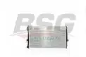 BSG 90520018 Su Radyatörü