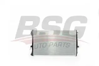 BSG 90520018 Su Radyatörü